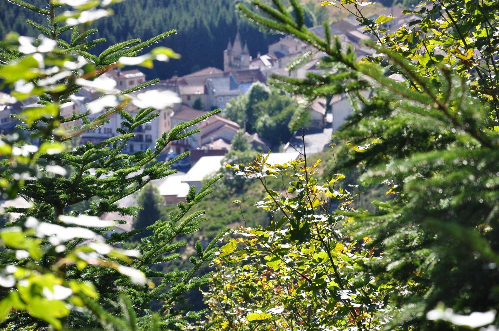Logis Hotel Restaurant Les Cevennes Saint-Cirgues-en-Montagne Ngoại thất bức ảnh